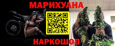 прущие крисы Шахты