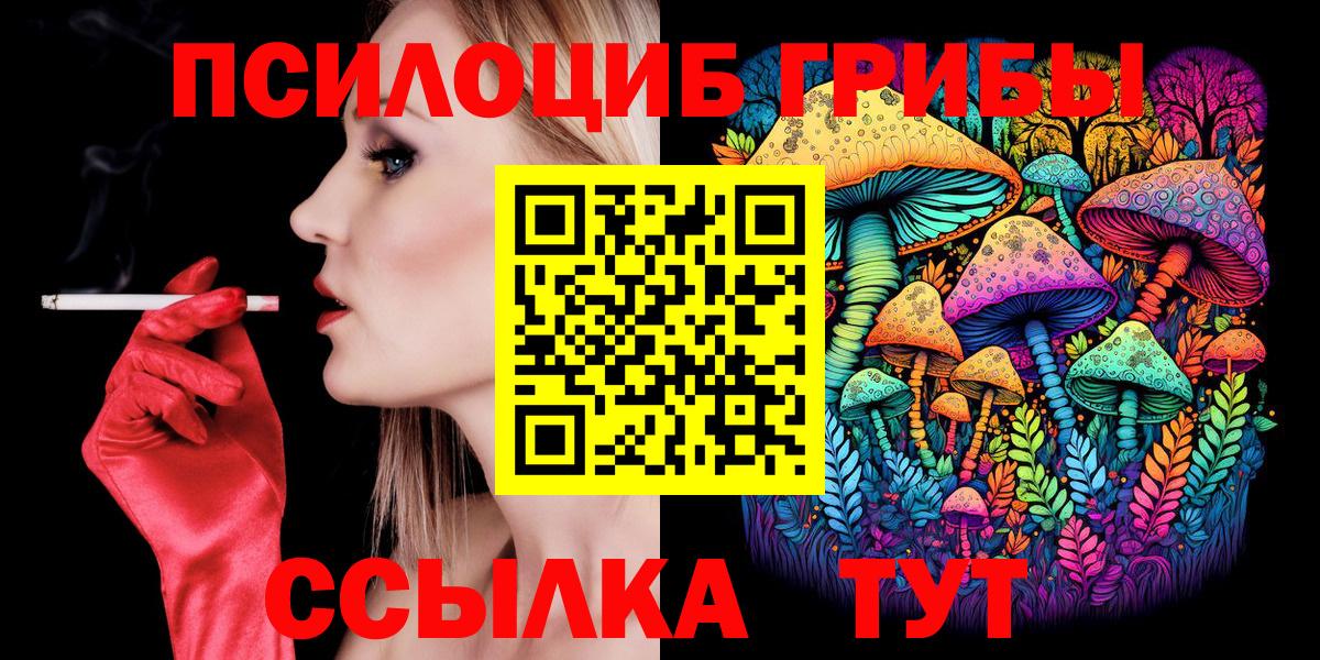 Псилоцибиновые грибы мицелий Киселёвск